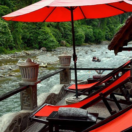 Ecotravel Cottages Bukit Lawang Dış mekan fotoğraf