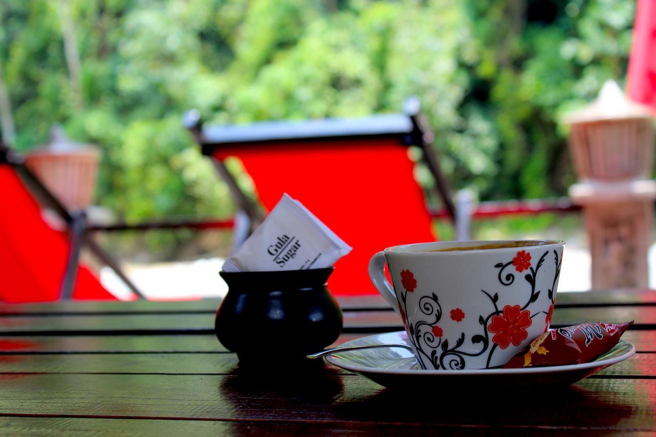 Ecotravel Cottages Bukit Lawang Dış mekan fotoğraf