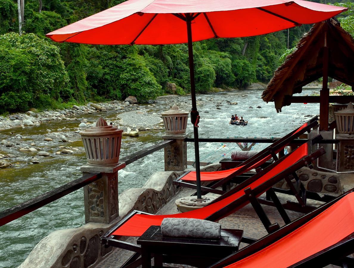 Ecotravel Cottages Bukit Lawang Dış mekan fotoğraf