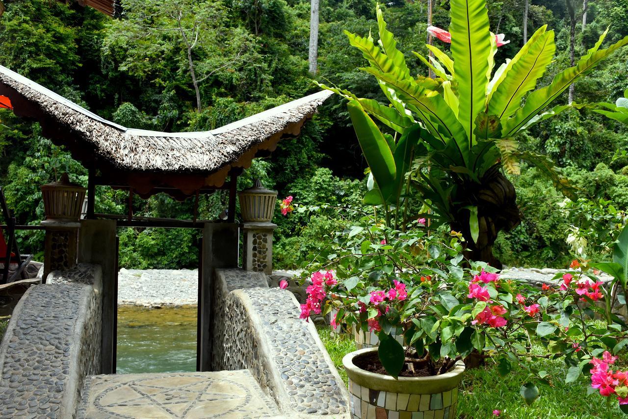 Ecotravel Cottages Bukit Lawang Dış mekan fotoğraf
