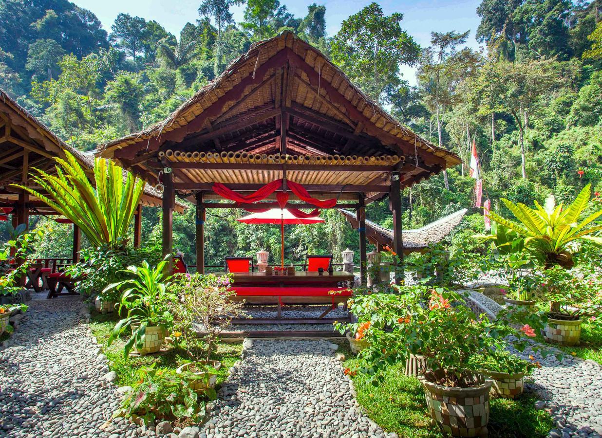 Ecotravel Cottages Bukit Lawang Dış mekan fotoğraf